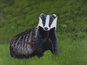 Badger